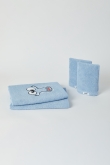 Handdoek, lichtblauw, 2 stuks, 50x100cm en 2 washandjes,